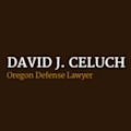 David J. Celuch