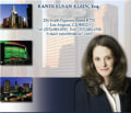 Law Offices of Randi Susan Klein