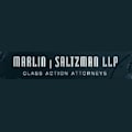 Marlin & Saltzman, LLP