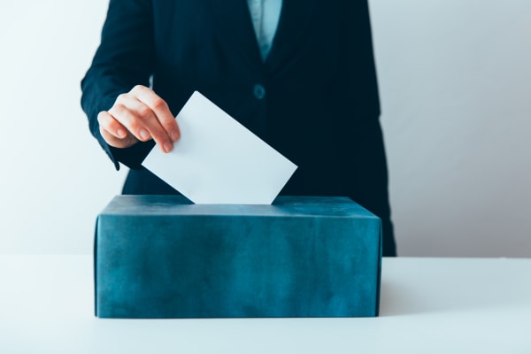 Reviewing the Midterm Ballot Election Results