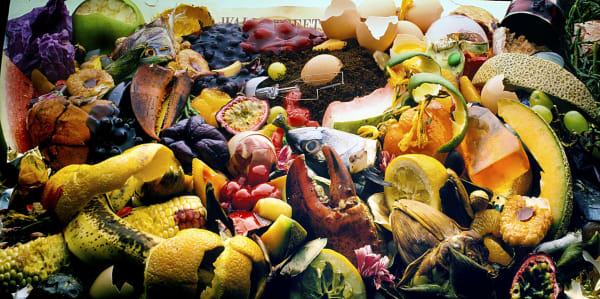 Should Food Waste Be Illegal?