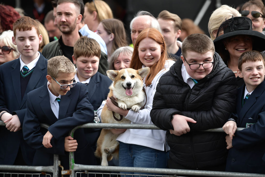 What About the Corgis? Lessons from Queen Elizabeth on Providing for Pets After Death