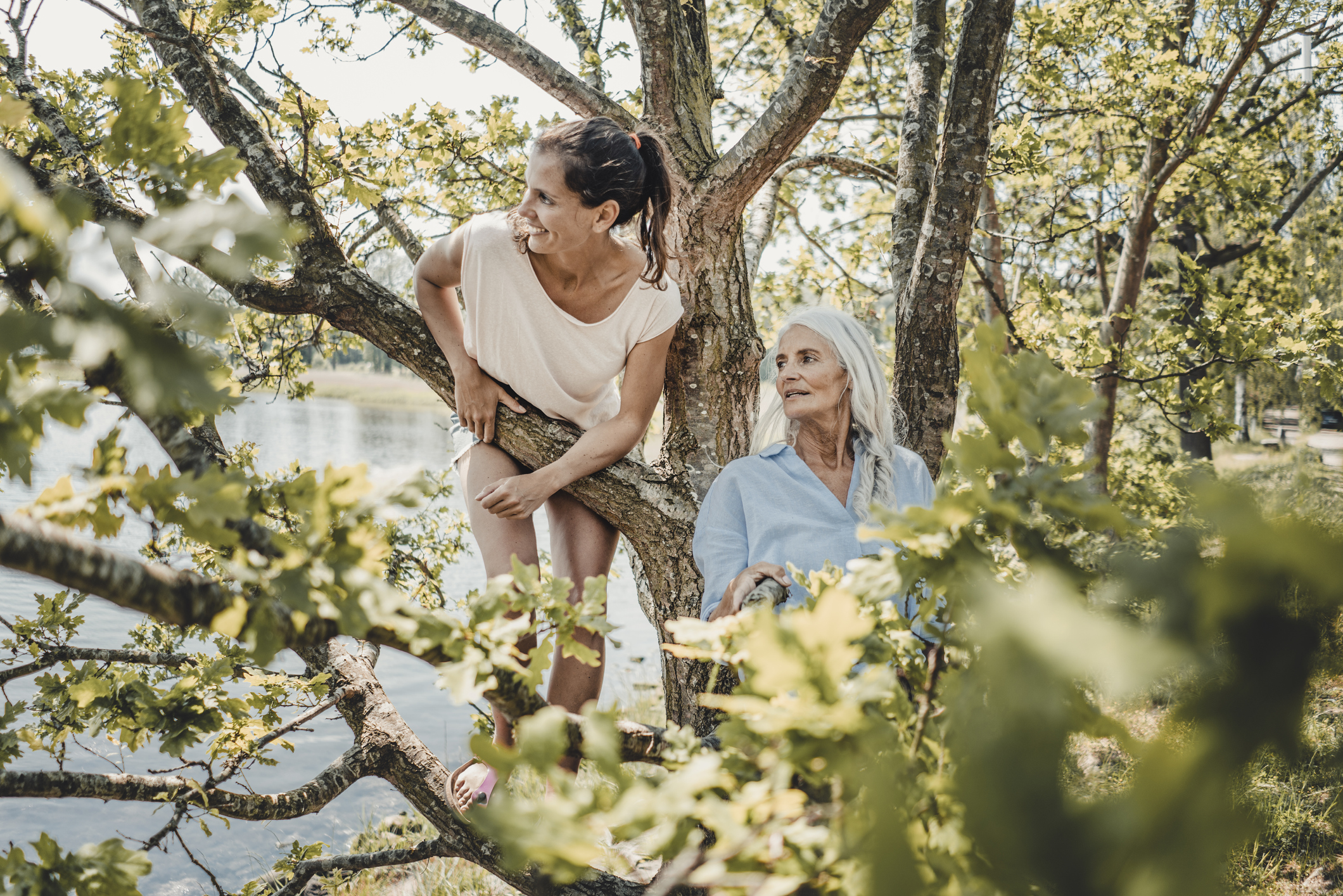 Can You Climb Trees in Public Parks?