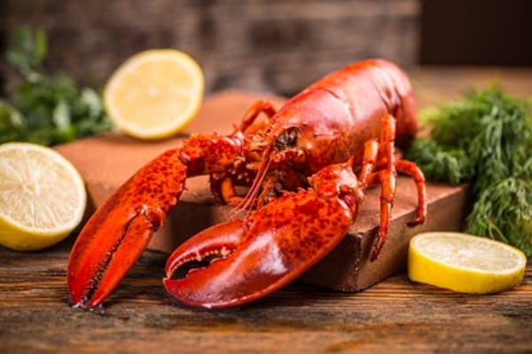 Wedding Reception Food Poisoning Becomes Class Action Lawsuit