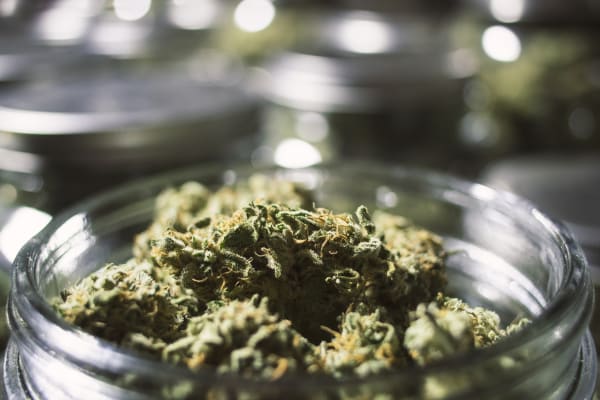 Can You Patent Pot?