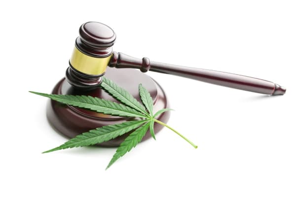New Nevada Law Protects Job Applicants Who Test Positive for Pot