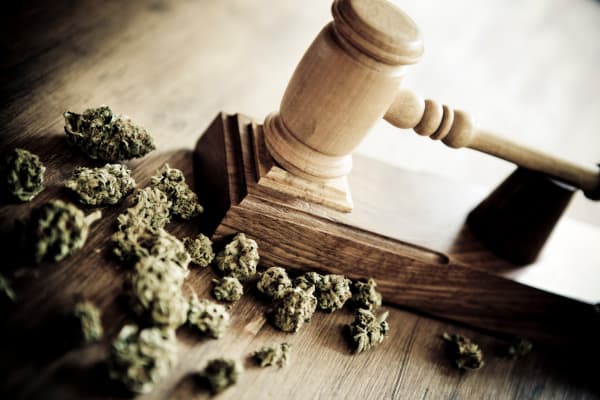 Georgia Lawyers Under Threat of Sanction for Helping Pot Businesses
