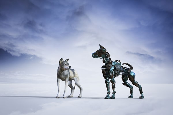 Robot Police Dogs Are Here, Should We Beware?