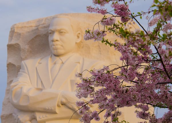 Martin Luther King's Civil Disobedience Legacy
