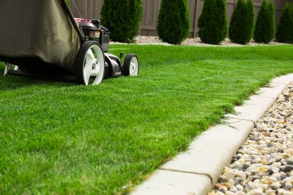Avoiding Summertime Liability for Small Business