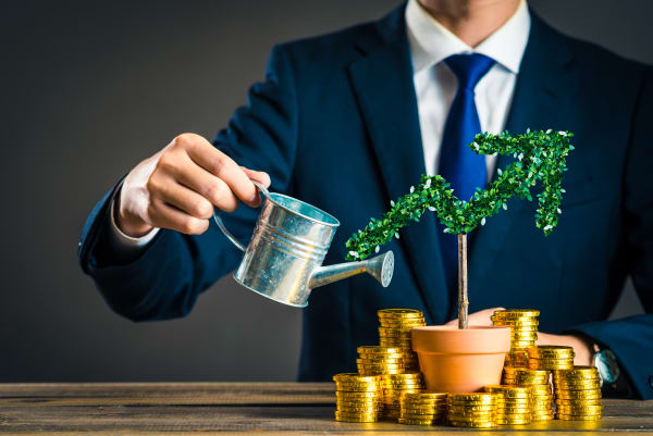 The Laziest Side Hustles for Lawyers