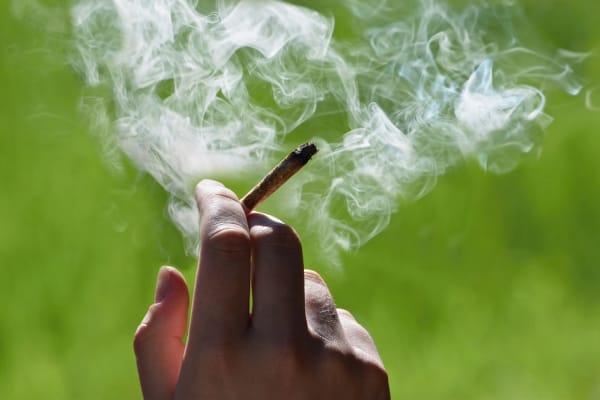 Maryland Court: Marijuana Smell OK to Search Car, but Not to Arrest, Search Person