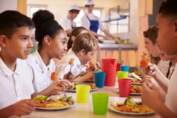 Top 3 Legal Concerns for Children With Food Allergies