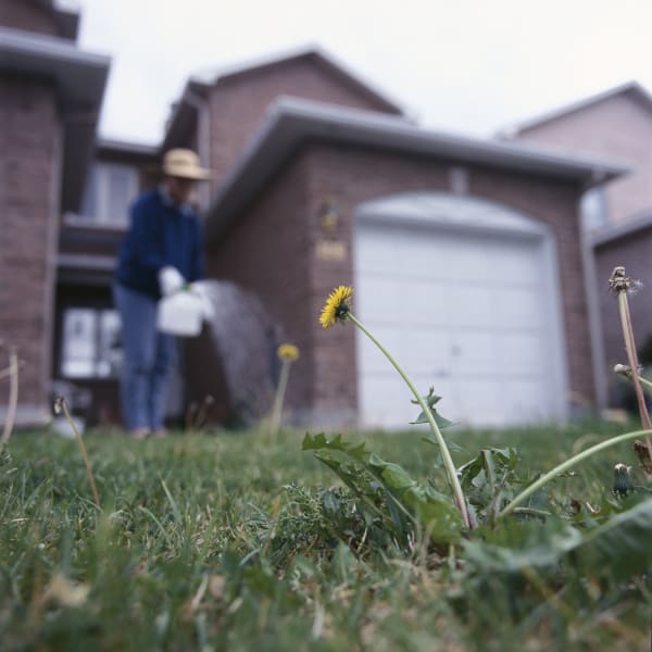 Jury Awards California Couple $2B for Cancer Caused by Roundup Weed Killer
