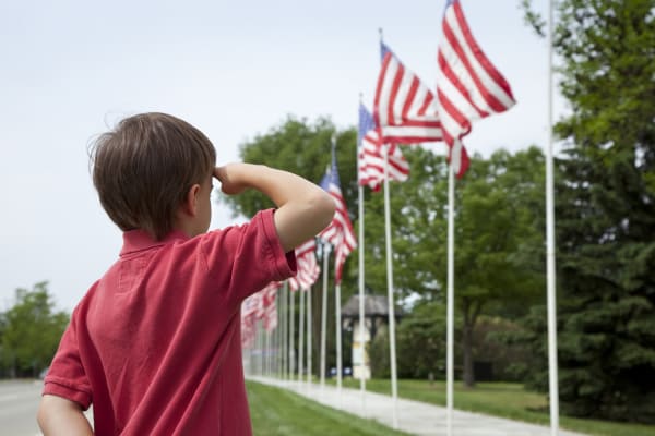 Stars and Stripes Standoff: How Big Is Too Big When It Comes to the American Flag?