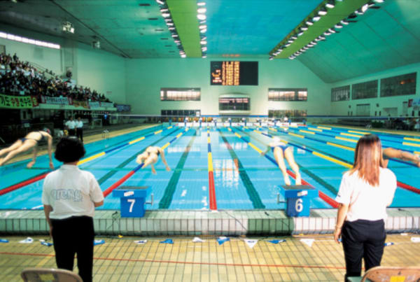 Swimming Pools Laws and Liabilities Round Up