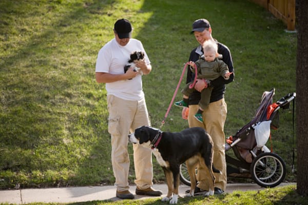 Should Your Firm Offer 'Paw-ternity Leave'?
