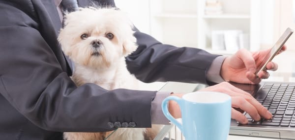 Tips for Staying Productive When Working From Home