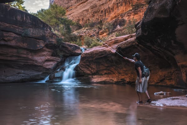 Ute Tribe Holds Exclusive Right to Control Hunting and Fishing on Its Lands, 10th Circuit Finds