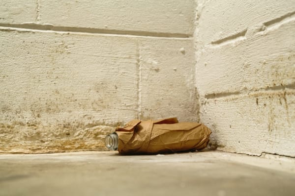 If You Brown-Bag Booze, Can You Drink in Public?