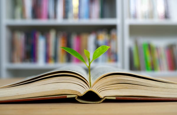 Will the COVID-19 Outbreak Have a Lasting Impact on Legal Education?