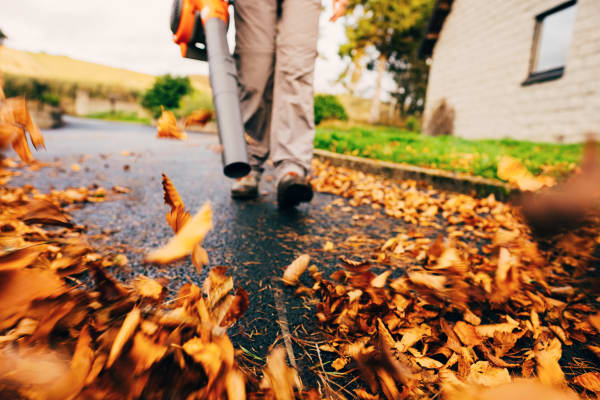 California Set to Silence Leaf Blowers