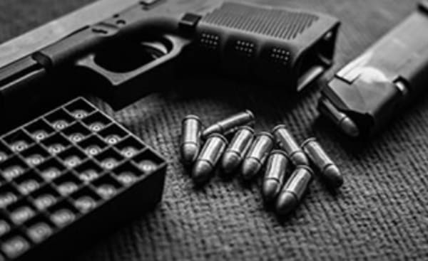 What Shows Up in a Gun Background Check?