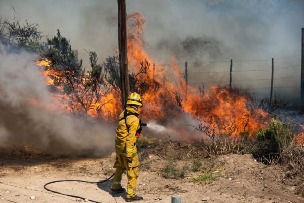 Can You Sue a Paramedic, Firefighter?