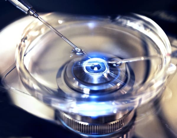 Alabama Supreme Court Decision Jeopardizes In Vitro Fertilization, Prompts Legislative Action