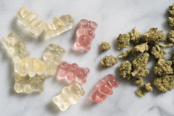 Parents' Use of Cannabis for Autism Treatment Leads to Legal Battle With Child Protective Services