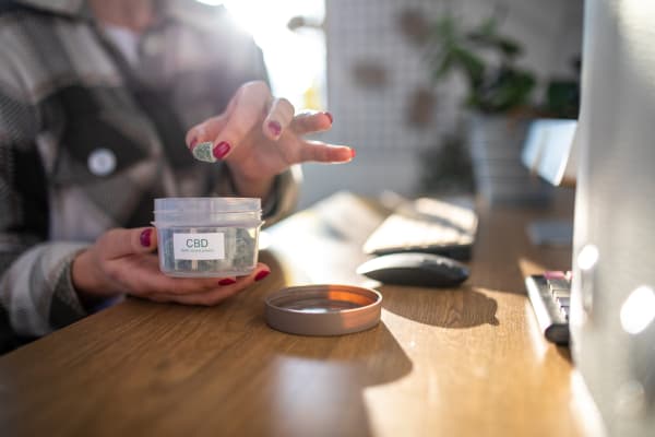 Can I Bring CBD Gummies to School?