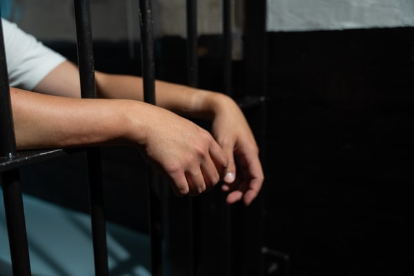 Is it Cruel and Unusual to Deny Felons the Right to Vote?