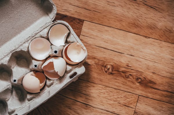 The 'Eggshell Plaintiff' Rule