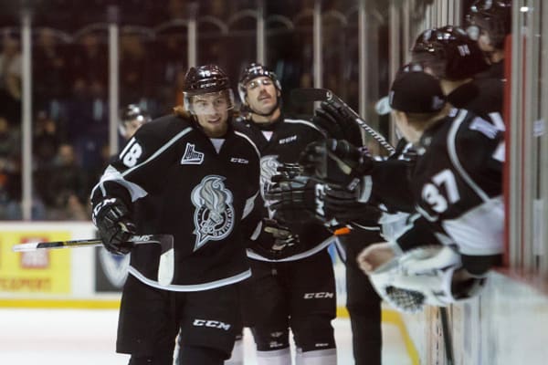 From the Rink to the Court: NHL On Trial