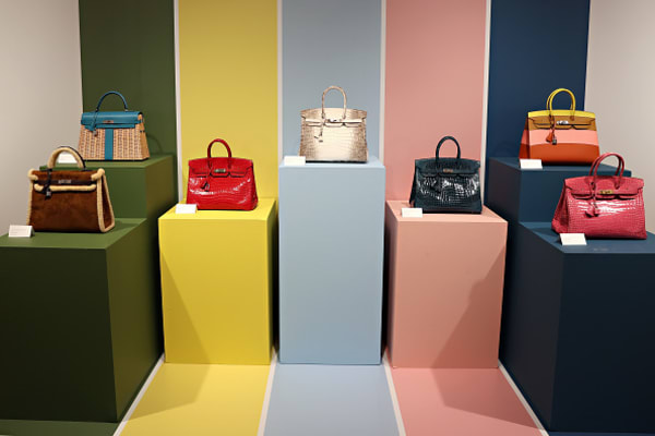 Class Action Lawsuit Against Hermes: A Closer Look at the Birkin and Kelly Bag Controversy