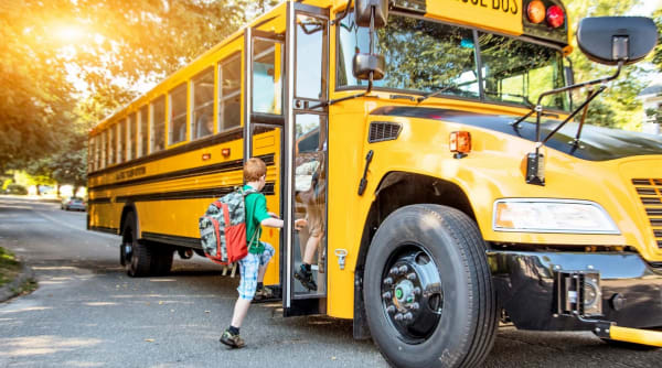 How Do You Sue a School District?
