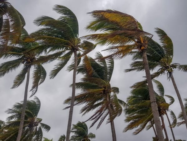 What You Need to Know About Hurricane Safety