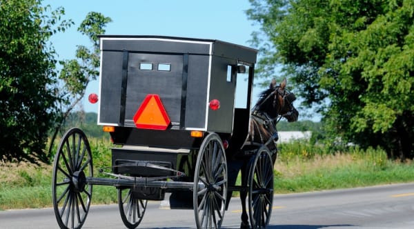 Drunk Driving a Horse and Buggy? Appeals Court Upholds Conviction