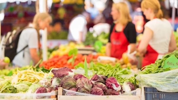Selling at Farmers' Markets: How to Start and What Rules Apply