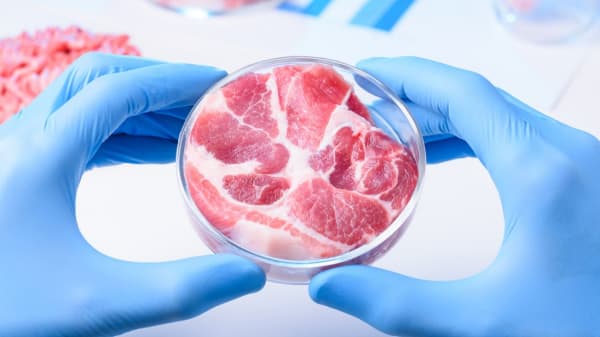 Why Have Florida and Alabama Made Lab-Grown Meat Illegal?