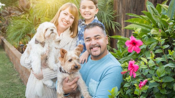 Federal Court Invalidates Parole in Place for Undocumented Spouses and Stepchildren of U.S. Citizens