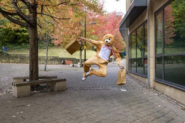 Bear-y Suspicious: Will Criminal Charges Be Filed Against Fake Insurance Claimants?