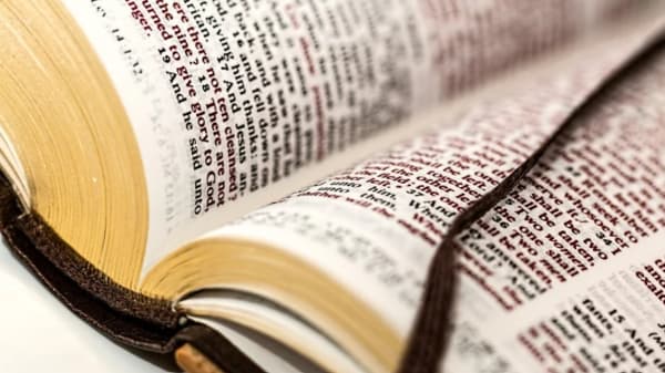 Texas Education Board Adds Optional Bible Lessons to Elementary School Curriculum