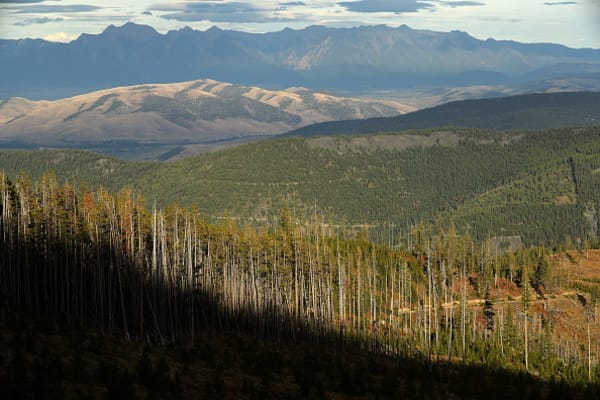 Montana Supreme Court Holds Constitutional Right to Clean Environment Free From Effects of Climate Change