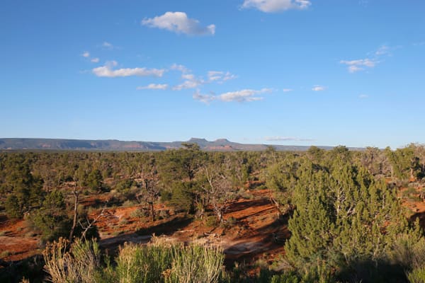 SCOTUS Snubs Utah's Attempt to Take Back Land from Feds