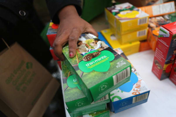 Lawsuit Claims Heavy Metals and Pesticides are Tagalongs in Girl Scout Cookies