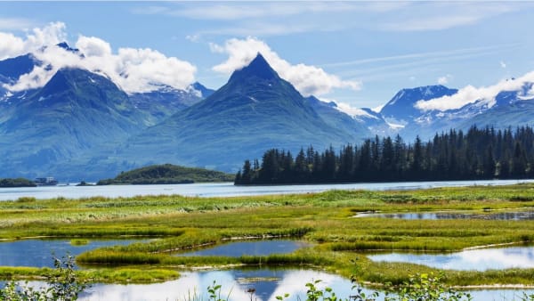 Judge's Ruling May Allow Alaska To Drill in Arctic National Wildlife Refuge