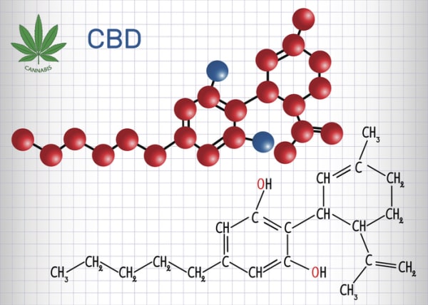Colorado Court Dismisses Synthetic Marijuana Lawsuit Against State