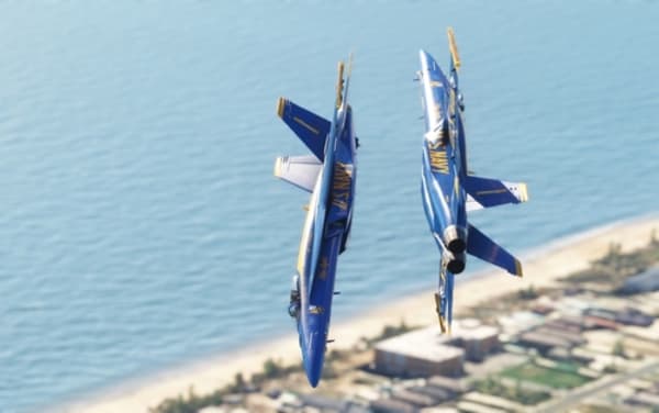 Cat's All, Folks: Lawsuit Against Blue Angels Alleges First Amendment Violations and Feline Terror