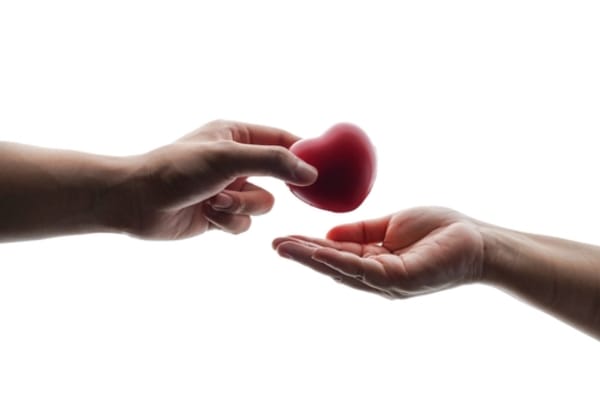 Alabama Judge Denies Dismissal of Lawsuit for Illegal Organ Harvesting